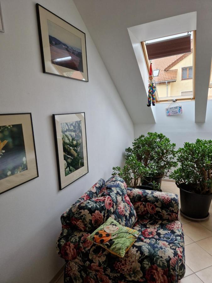 Siedem C Ferienhaus Pobierowo